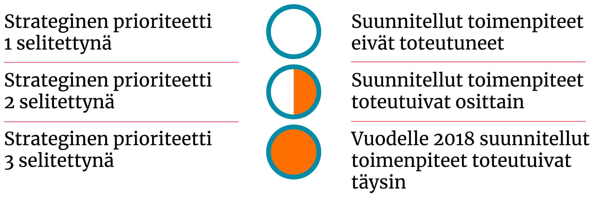Toteutumakaavioidea vuosikertomukseen